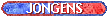 Jongens hockey teams